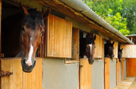 free Felbrigg stable construction quotes